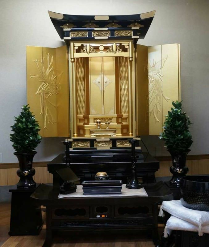 000000000227-02-l.jpg?t=