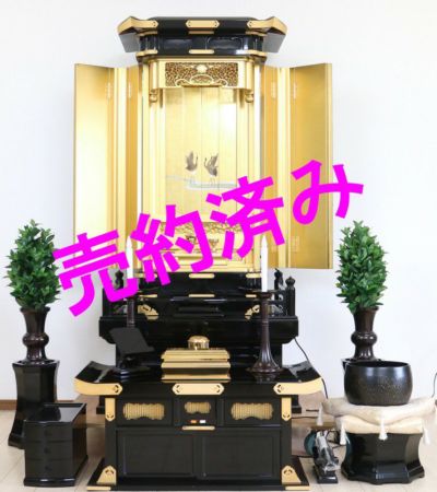 000000000463-01-m.jpg?t=